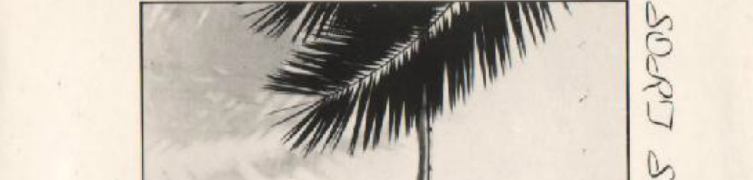 Sort Sol - title