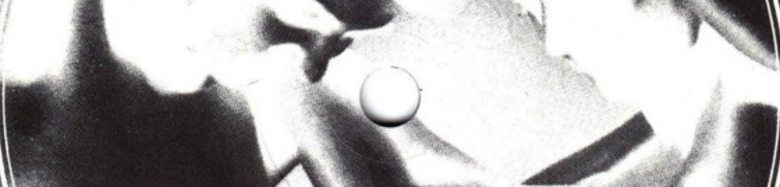 The Birthday Party/Lydia Lunch - title